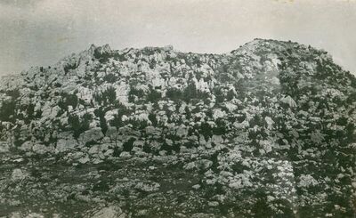 Gajića Gradina - Gradina između Raduča i sv. Roka