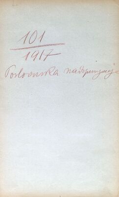 Nadopuna Poslovnika o radu