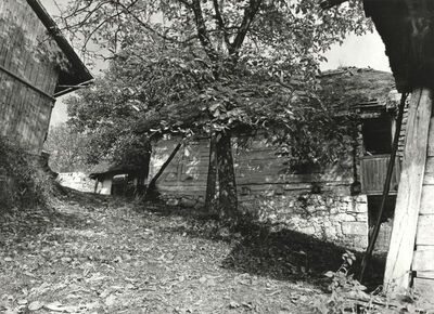 Martinski Vrh (Ribnik) - Tradicijska kuća, dio pročelja