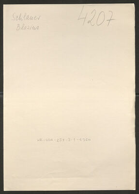 Schlauer, Blasius, 21 godina. Policijski karton