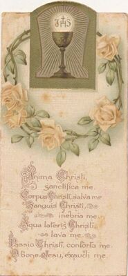 Anima Christi, sanctifica me