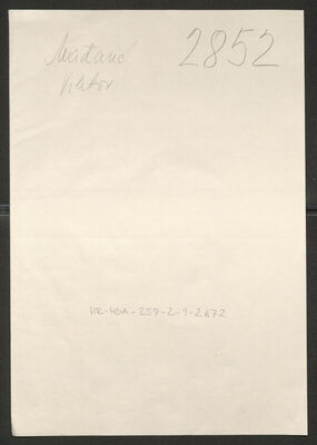 Mađarić, Viktor, 1915. Policijski karton