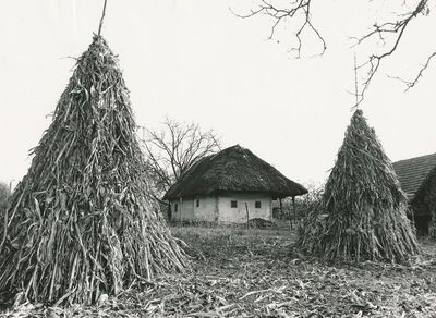 Jasenovica (Ribnik) - Tradicijska kuća, uže i dulje pročelje
