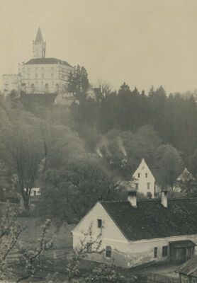 Trakošćan - dvorac, park, gospodarske zgrade