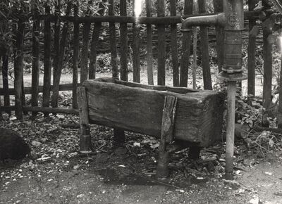 Drenje Šćitarjevsko - Korito