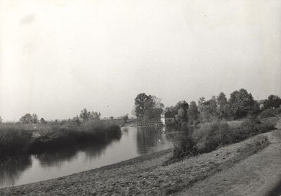 Donja Kupčina - Mlin