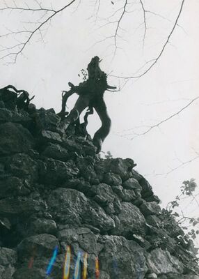 Zelingrad - Stari grad Zelingrad, detalj zidina