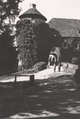 Bosiljevo - Stari grad