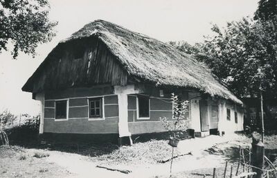 Dubravica - Drvena kuća, zabatno i ulazno pročelje