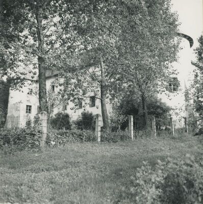 Bela (Novi Marof) - dvor