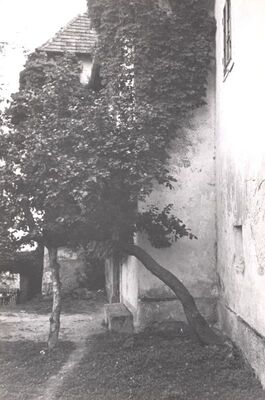 Slavetić - Dvorac Oršić, istočno pročelje