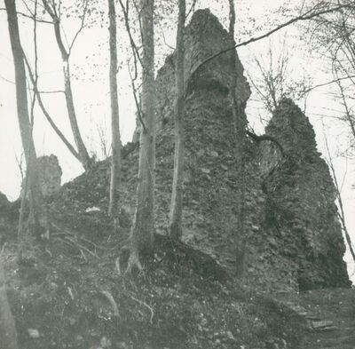 Zelingrad - Stari grad Zelingrad, stambena kula