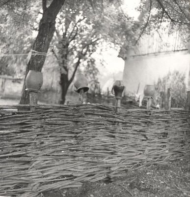 Drenje Šćitarjevsko - Ograda