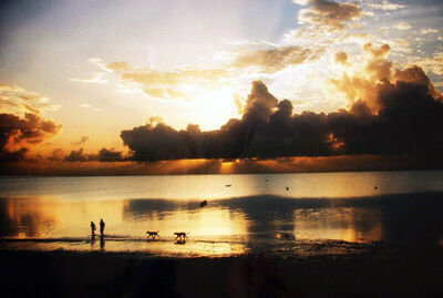 Svitanje kod Mombase, 1976. - 2002.