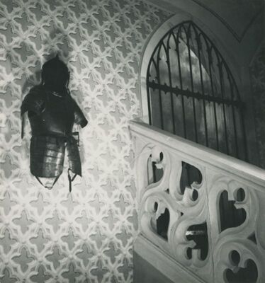 Trakošćan - dvorac, podest prizemlja