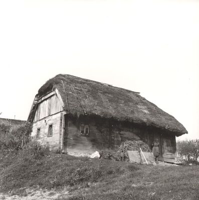 Lijevi Štefanki - Drvena tradicijska prizemnica pokrivena slamom