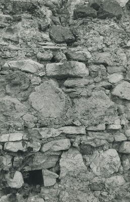 Vojnovec Loborski (Lobor) - Burg, ruševina