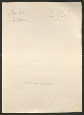 Malešević, Milan, 18.1.1916. Policijski karton