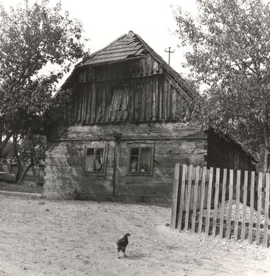 Kozjača - Tradicijska kuća, zabatno pročelje