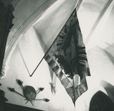 Trakošćan - dvorac, zastava u viteškoj dvorani