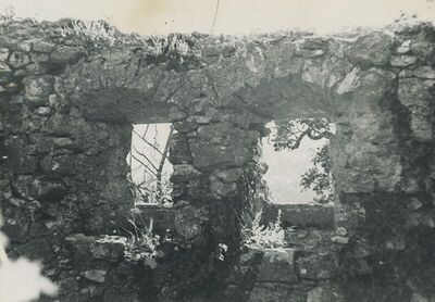 Grtovec (Budinščina) - Stari grad Milengrad, detalj