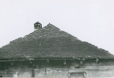 Vukovina - Kurija Alapić, krov južnog pročelja