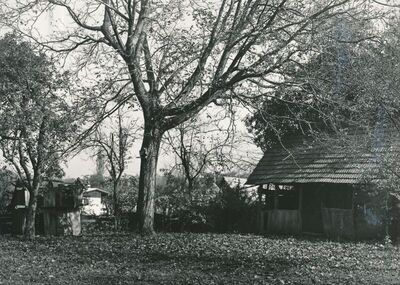 Polje Ozaljsko (Ozalj) - Tradicijska kuća s okućnicom