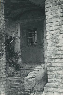 Velika Ves (Krapina) - Dvorac Popovec (Kulmer), oštećenje stepenice