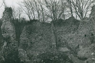 Zelingrad - Stari grad Zelingrad, stambena kula