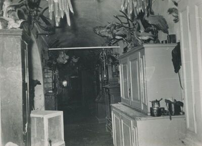 Gornja Pačetina (Krapina) - Dvorac Trnovec, unutrašnjost, detalj