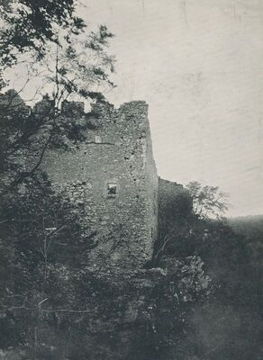 Grtovec (Budinščina) - Stari grad Milengrad, detalj