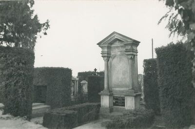 Marčan - groblje, bosketi