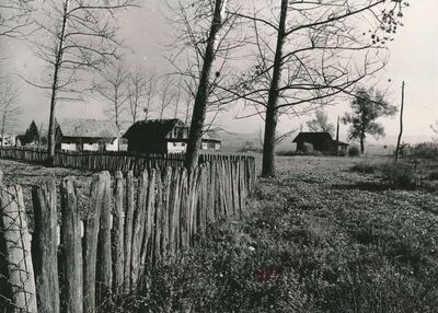 Zaluka Lipnička (Žakanje) - Okućnica kbr. 37