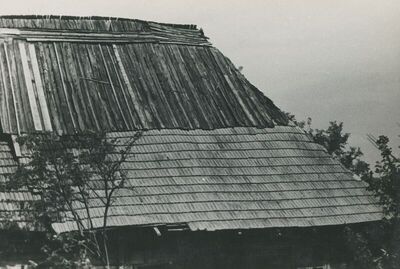 Škarićevo Donje (Krapina) - Kurija pl. Gudela, detalj