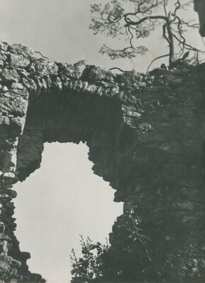 Grtovec (Budinščina) - Stari grad Milengrad, detalj