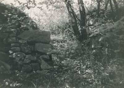 Krapina - Stari grad, zidine