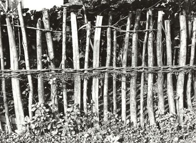 Veleševec - Detalj ograde