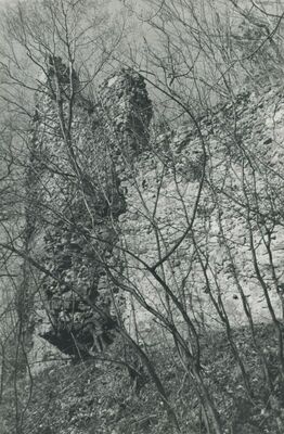 Vojnovec Loborski (Lobor) - Burg, ruševina