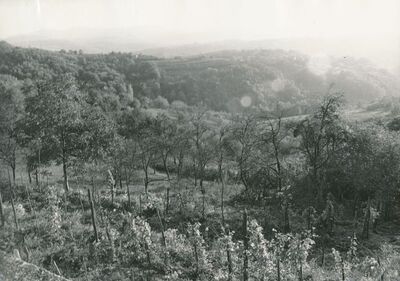 Hodinci (Ozalj) - Panorama