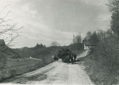 Vinica Breg (Vinica) - ruševine srednjovjekovnog grada