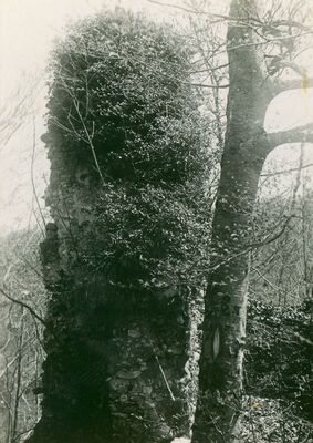 Zelingrad - Grad srednjovjekovni, kula do ulaza s istoka