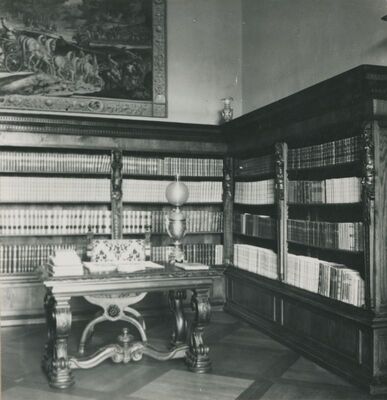 Trakošćan - biblioteka