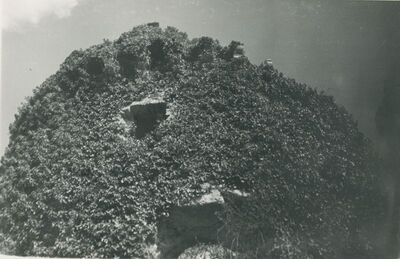 Vinica Breg (Vinica) - ruševine srednjovjekovnog grada