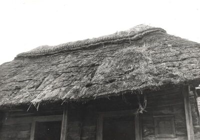 Brezarić - Tradicijska kuća, detalj krova