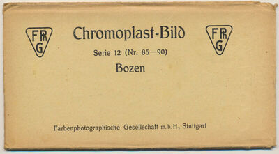 Chromoplast - Bild; Bozen