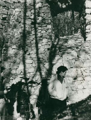 Zelingrad - Stari grad Zelingrad, ulazna kula