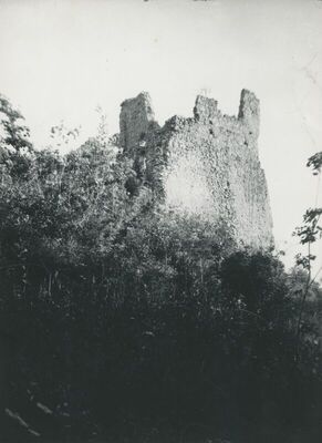 Vojnovec (Loborski Lobor) - Srednjovjekovni grad, ruševine
