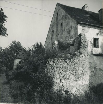 Bela (Novi Marof) - dvor