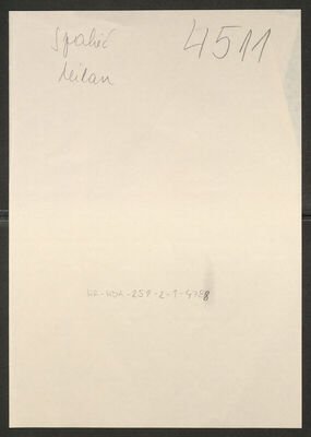 Spahić, Milan, 1904. Policijski karton