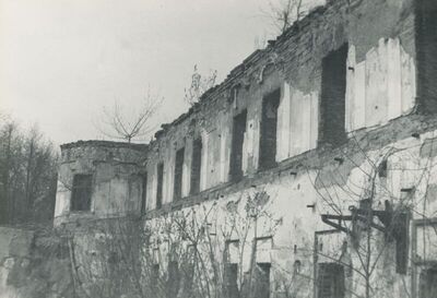 Oroslavje - Dvorac Oroslavje Gornje, vanjština, ruševina